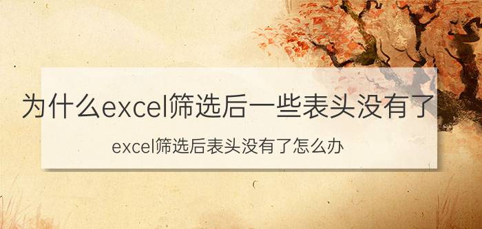 为什么excel筛选后一些表头没有了 excel筛选后表头没有了怎么办？